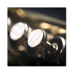 ATS Music Art Acoustic Panel - Brass Bell
