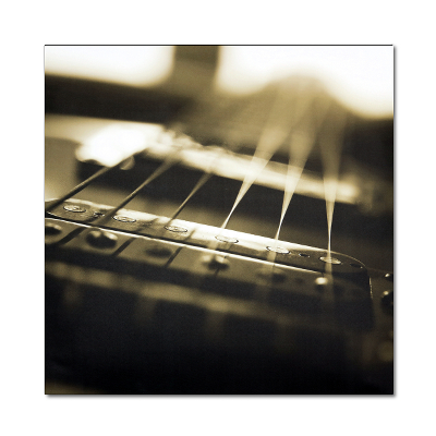 ATS Music Art Acoustic Panel - Guitar Strings