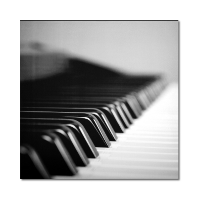 ATS Music Art Acoustic Panel - Classic Piano Keys