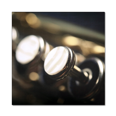 ATS Music Art Acoustic Panel - Valve Closeup