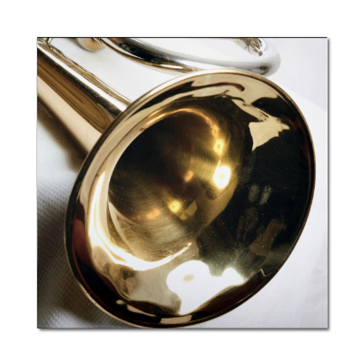 ATS Music Art Acoustic Panel - Brass Bell
